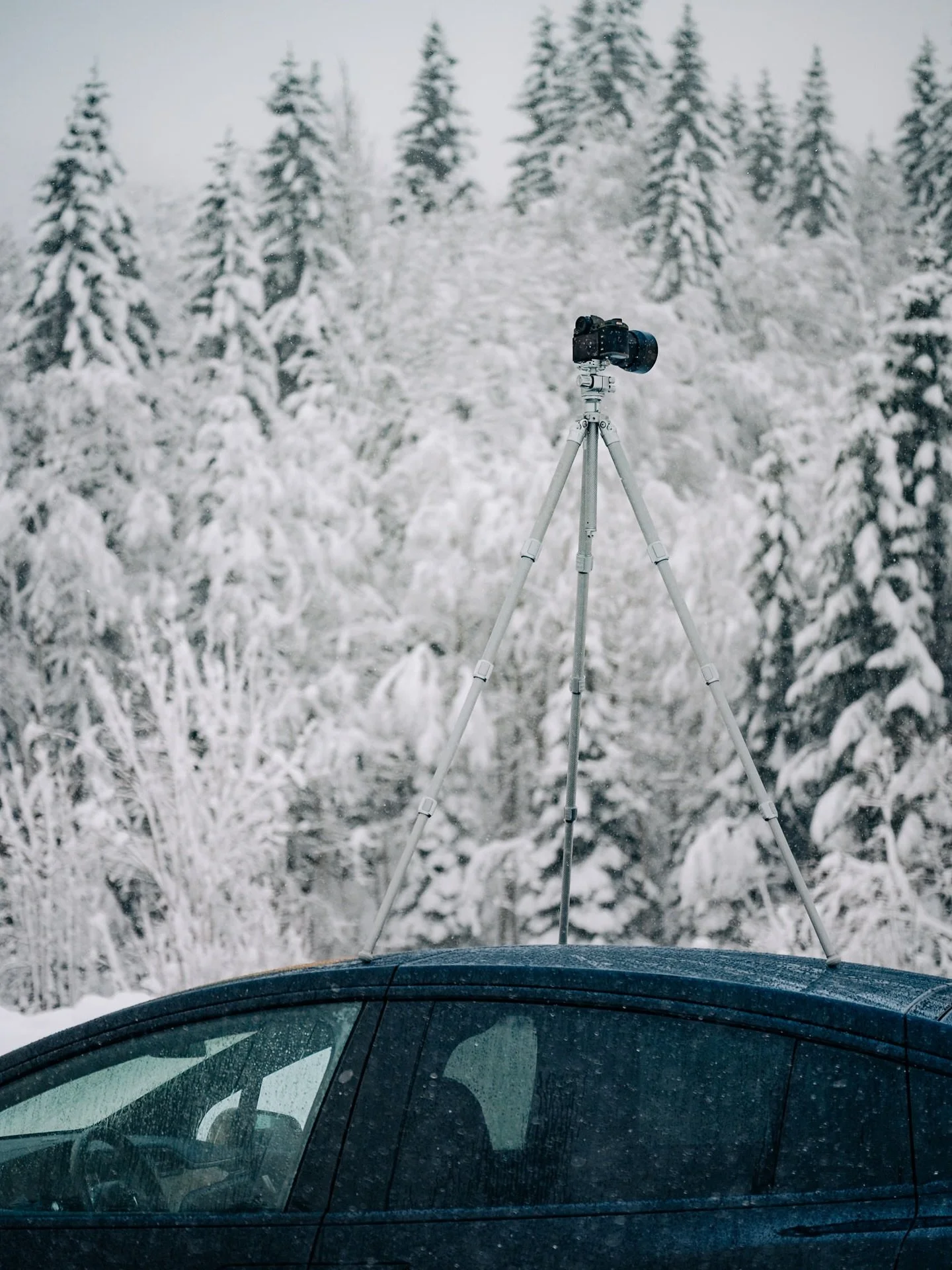 Fragmi nid wasi ha gstudiert, aber m&auml;ngisch pr&ouml;bletme haut eifach chli ume 😁🤷🏻&zwj;♂️😆 bi jedefaus immerno hert fan vom @leofoto.official Stativ 😍 bechunsch bim @foto_zumstein o in schwarz 😃 #allg&auml;u #balderschwang #leofoto