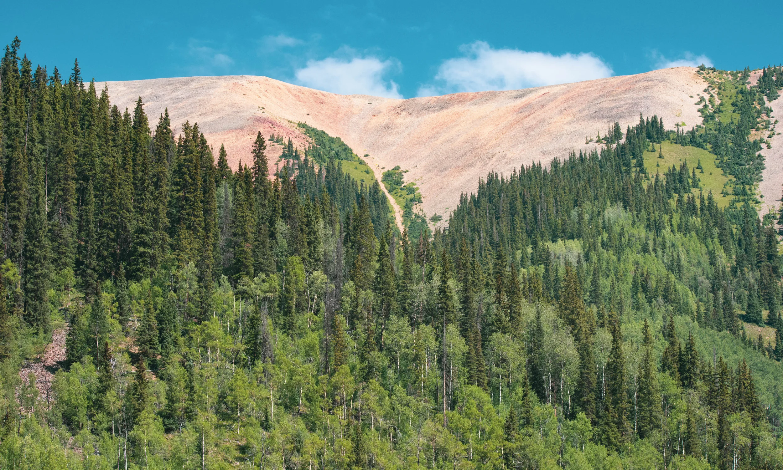 mountainredandgreen.jpg