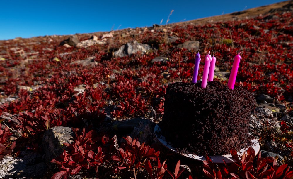 alpine tundra celebration cake.JPG