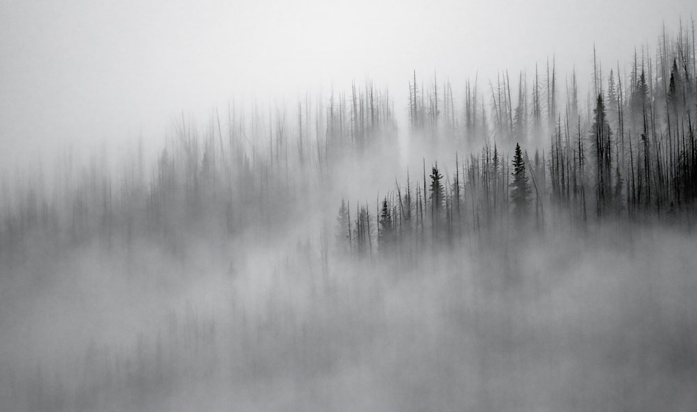 moody subalpine clouds.JPG