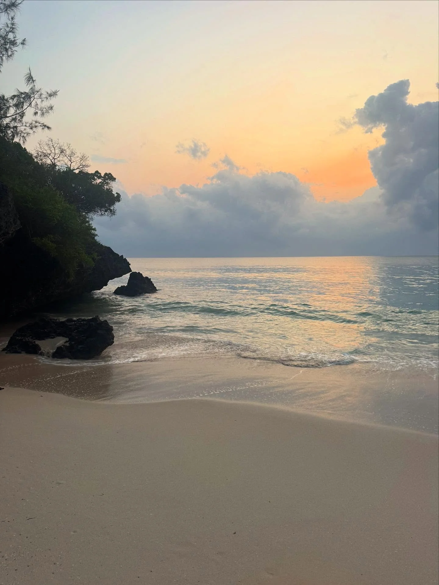 💙 peaceful mornings in a busy week. Enjoy the little things #kinondokwetu #midtide #indianocean #homeawayfromhome #barefootluxury #kenya #dianibeach #galubeach #bushandbeach #travelwithapurpose #bucketlisttravel