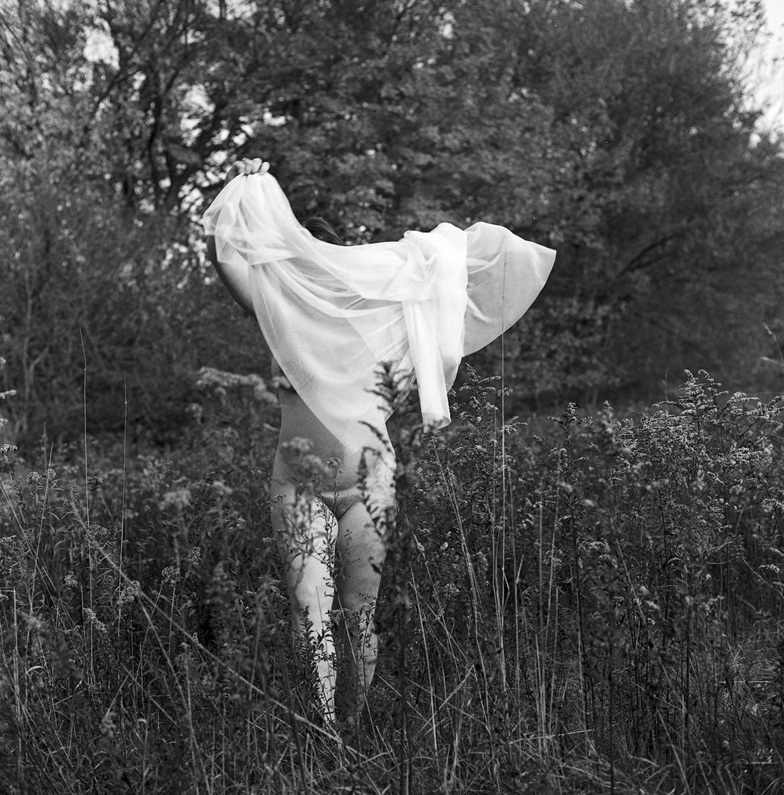 Amanda (angel), Litchfield, CT