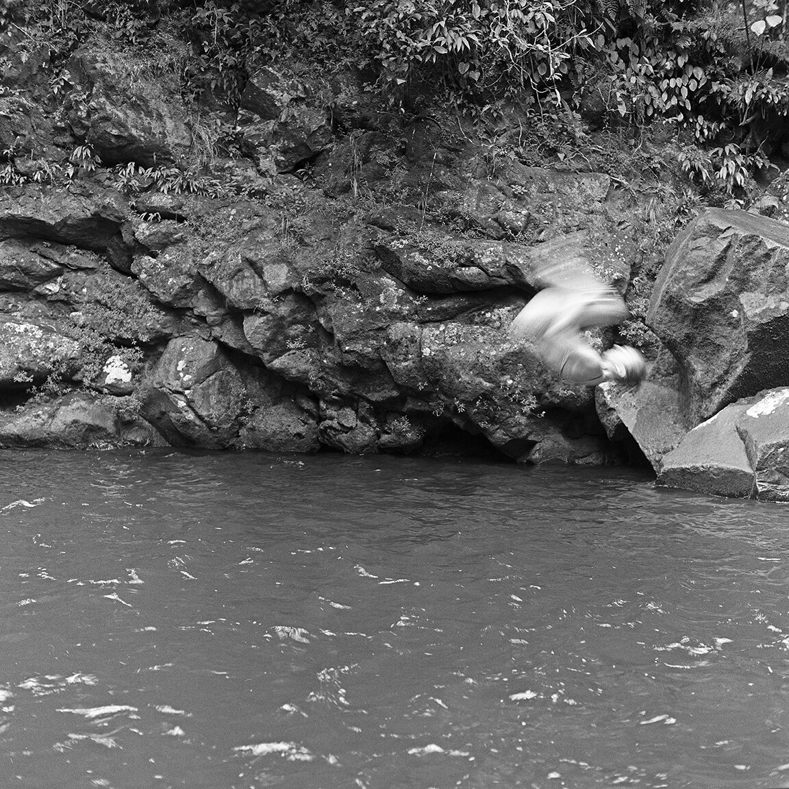 River Diving. Rara Avis, Costa Rica