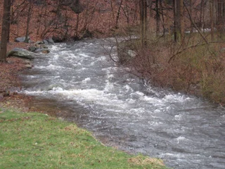 WITZIG factory stream.jpeg