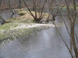 WITZIG factory pond.jpeg