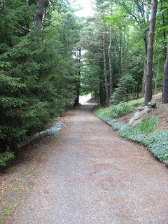 WITZIG factory path.jpeg