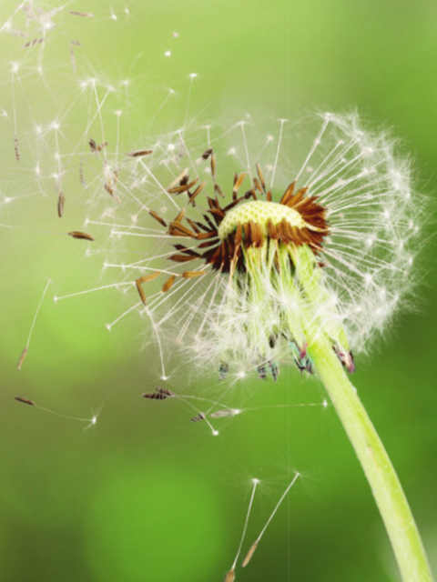 Buchvernissage "Hör auf zu helfen" im Sunnehügel Schüpfheim