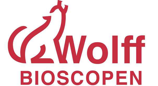 Wolff-Bioscopen-logo605.33.jpg