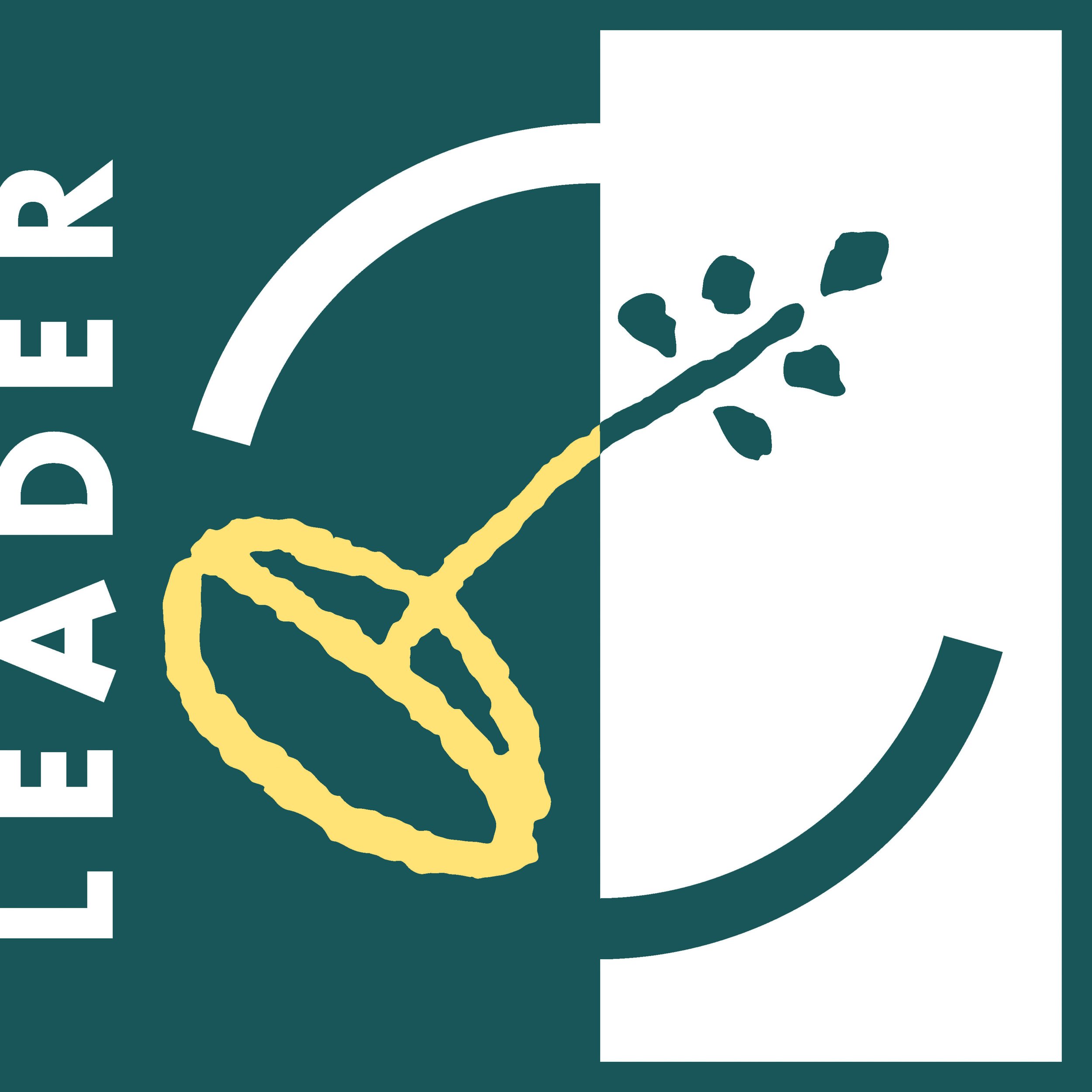 Leader logo rgb EU ISO.jpg