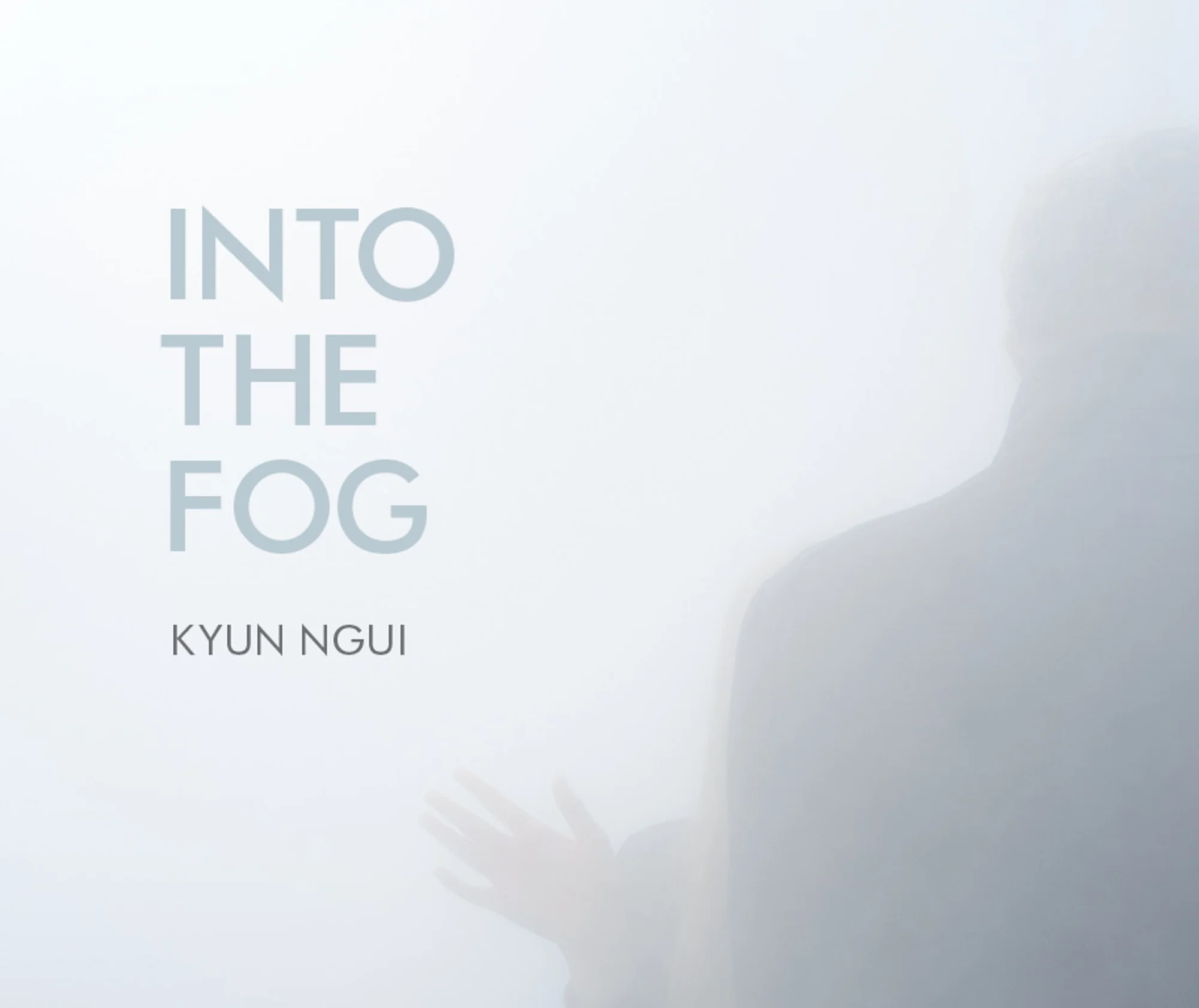 Into The Fog (2017)