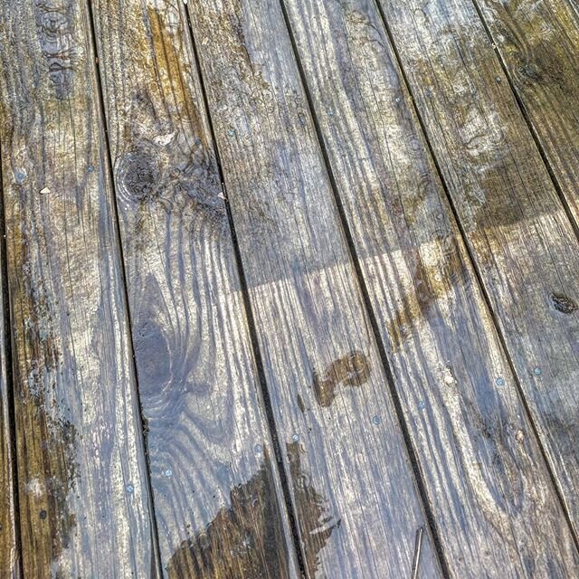 Cleaning this 30 year old deck!