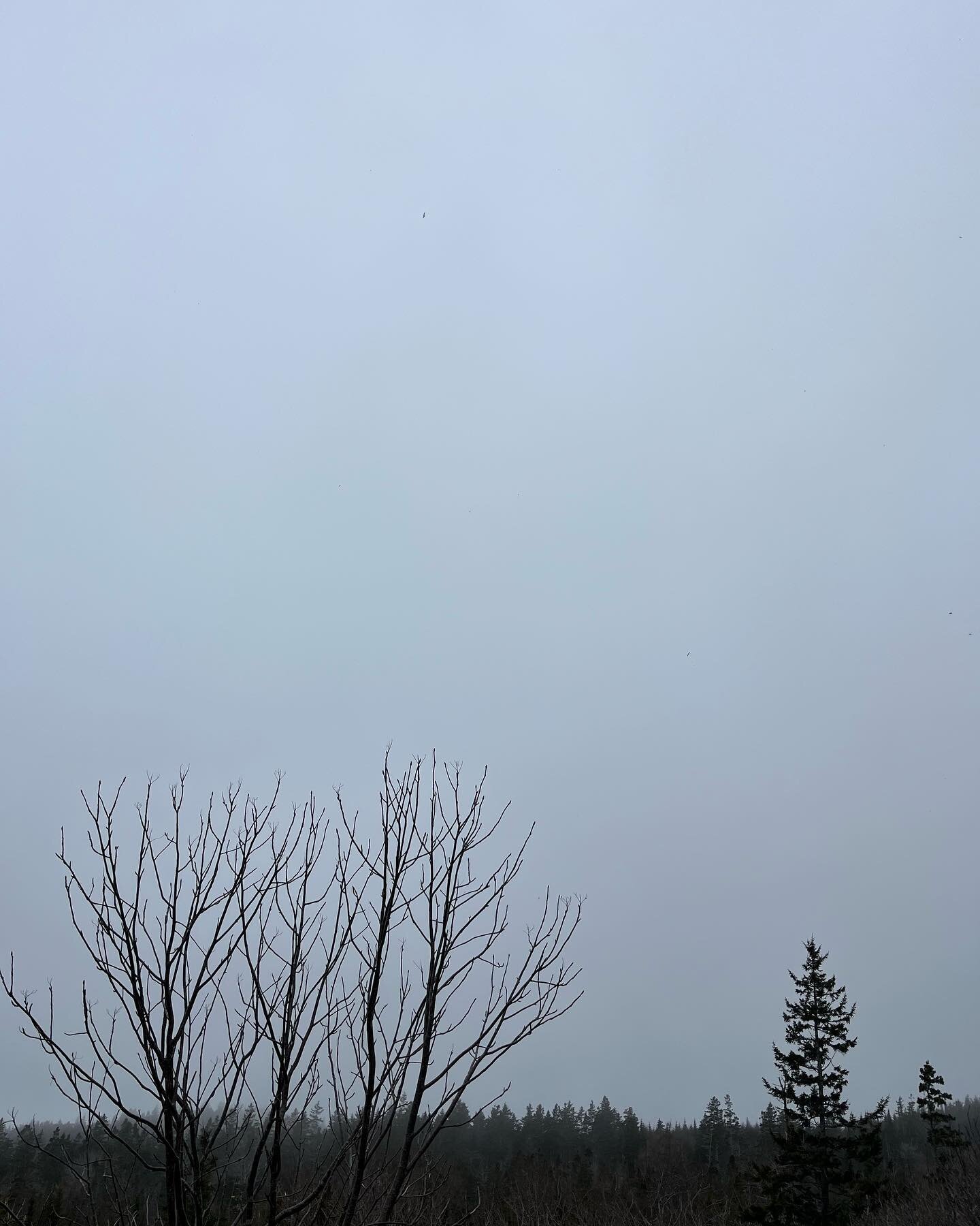 Fog Monster vs. The Eclipse
