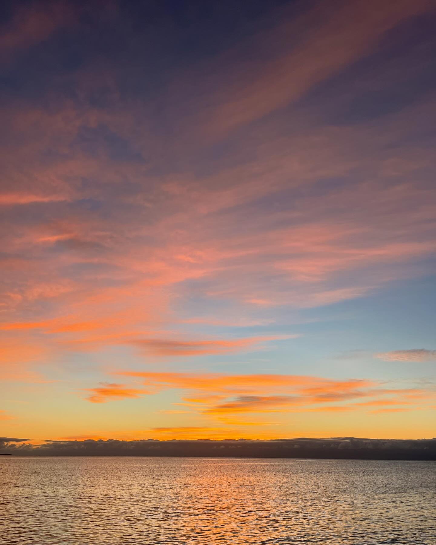 november rise