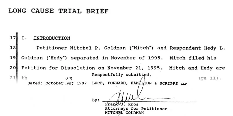 petitioner for mitchel goldman.jpg