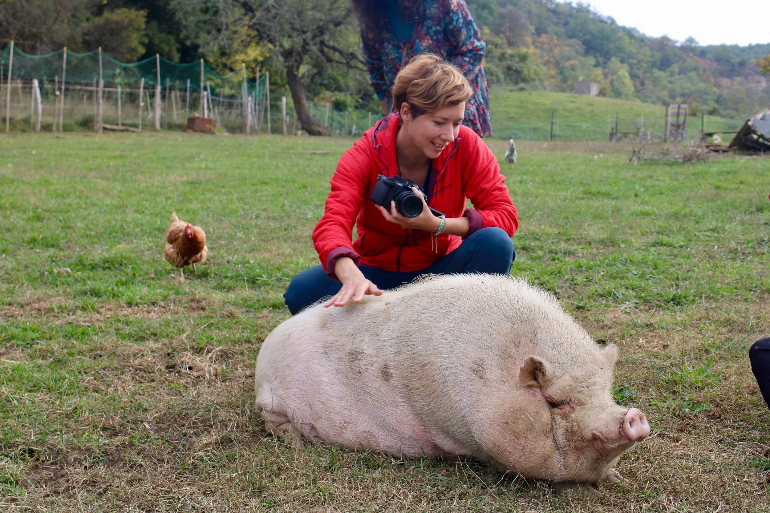 Quand femmes et animaux font cause commune