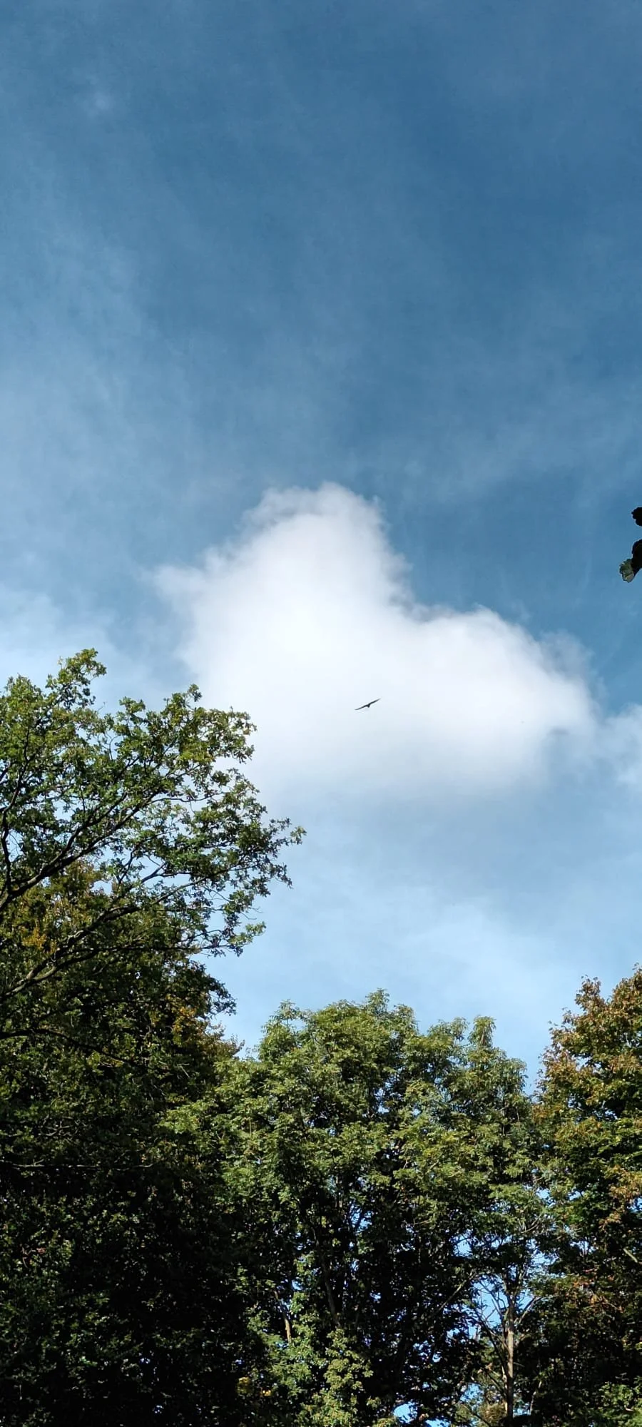 Over belemmerende overtuigingen en een oude sweater