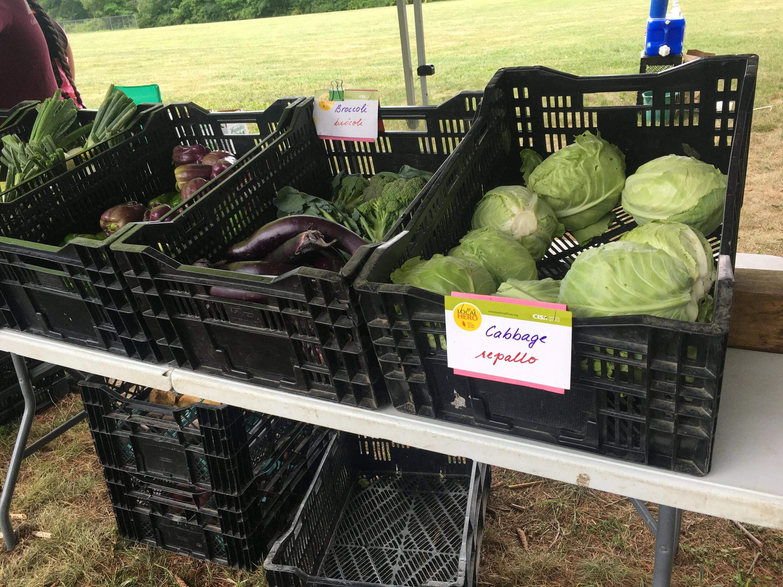 Many Hands Farm Corps/ Amherst Mobile Market