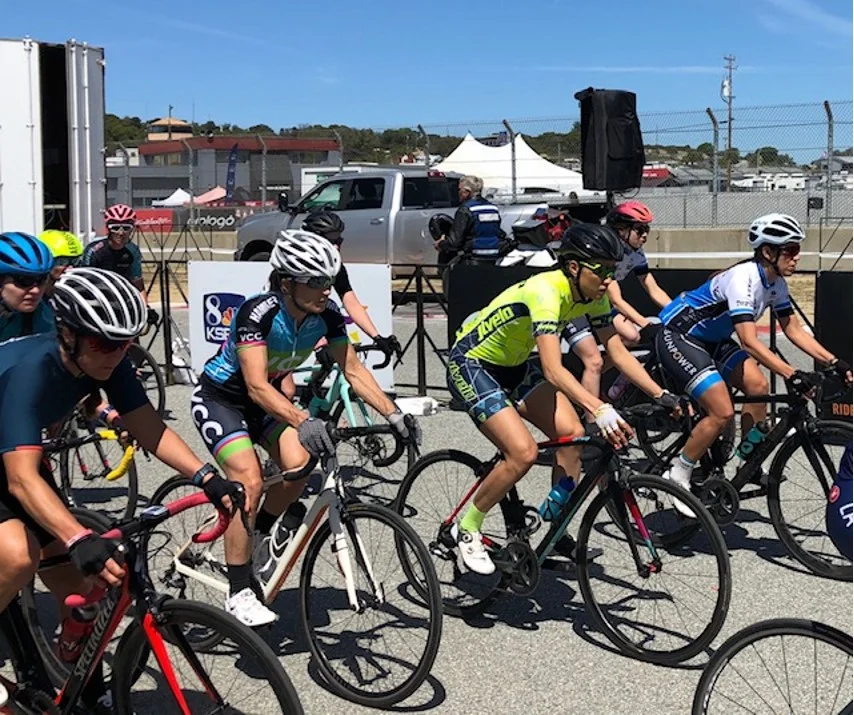 Lynn Sea Otter Circuit.jpg