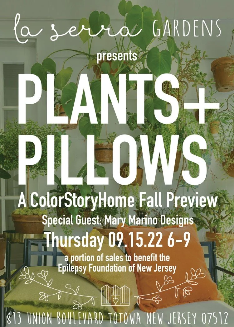 Upcoming Trunk Show