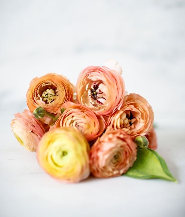 Sweet petal perfection with these beautiful peach ranunculus. What are your thoughts on adding fresh, seasonal florals to your interior designs?⁠
▫️⁠
Florals by @topiaire⁠
Photography @strifflerphoto @strifflerphoto_interiors⁠