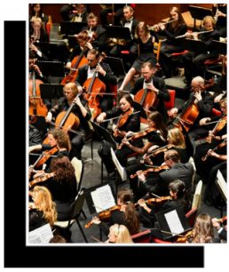 Classics-5-.84-uai-258x306.png