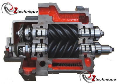 z-technique.jpg