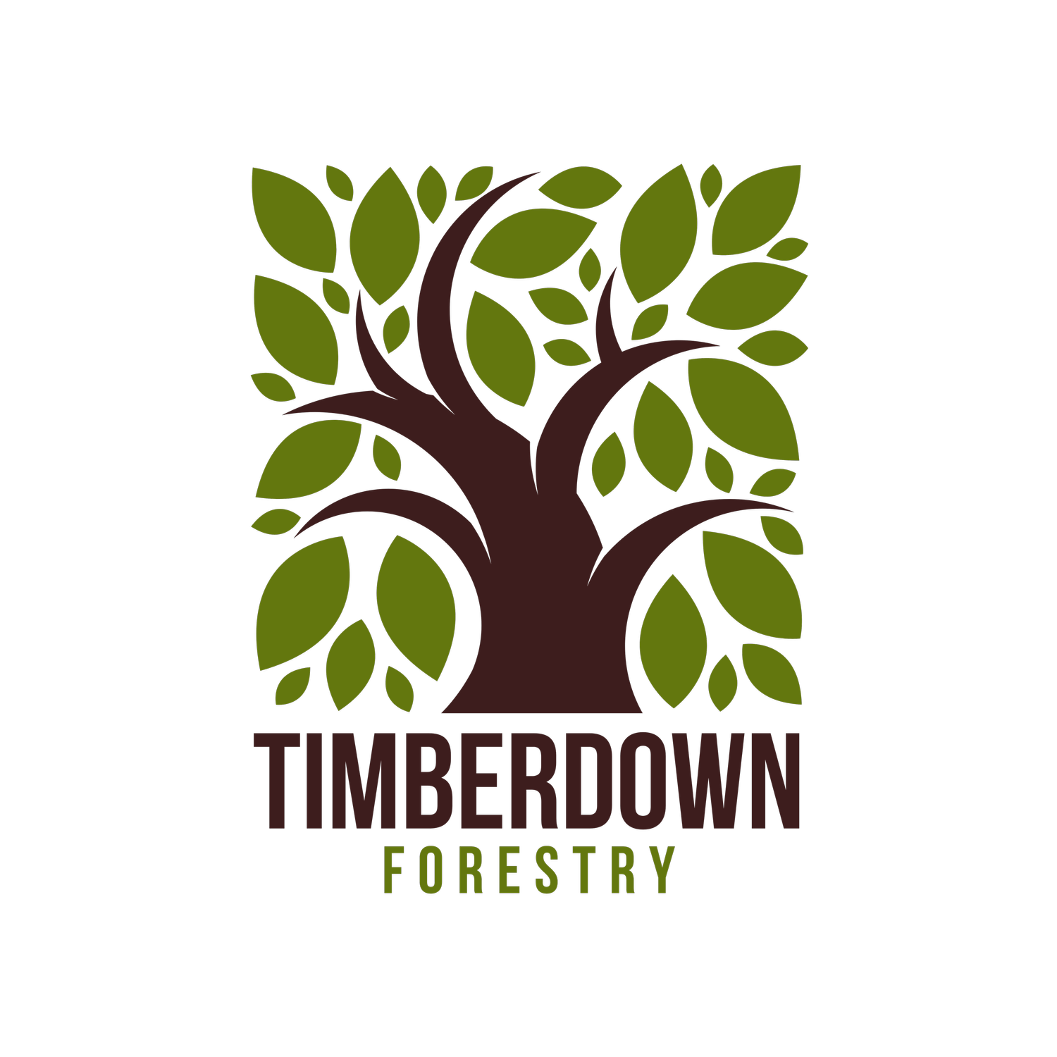 Timberdown Forestry