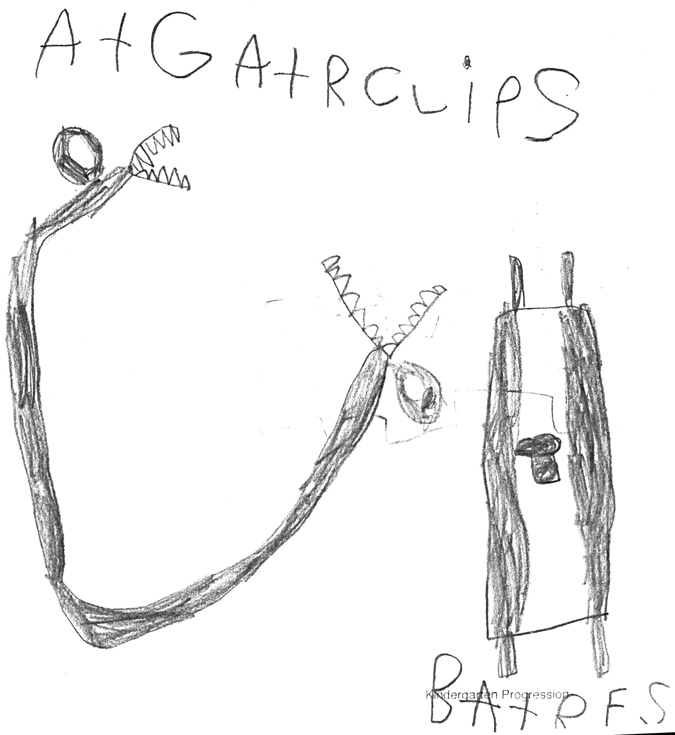 alligator clips.jpeg