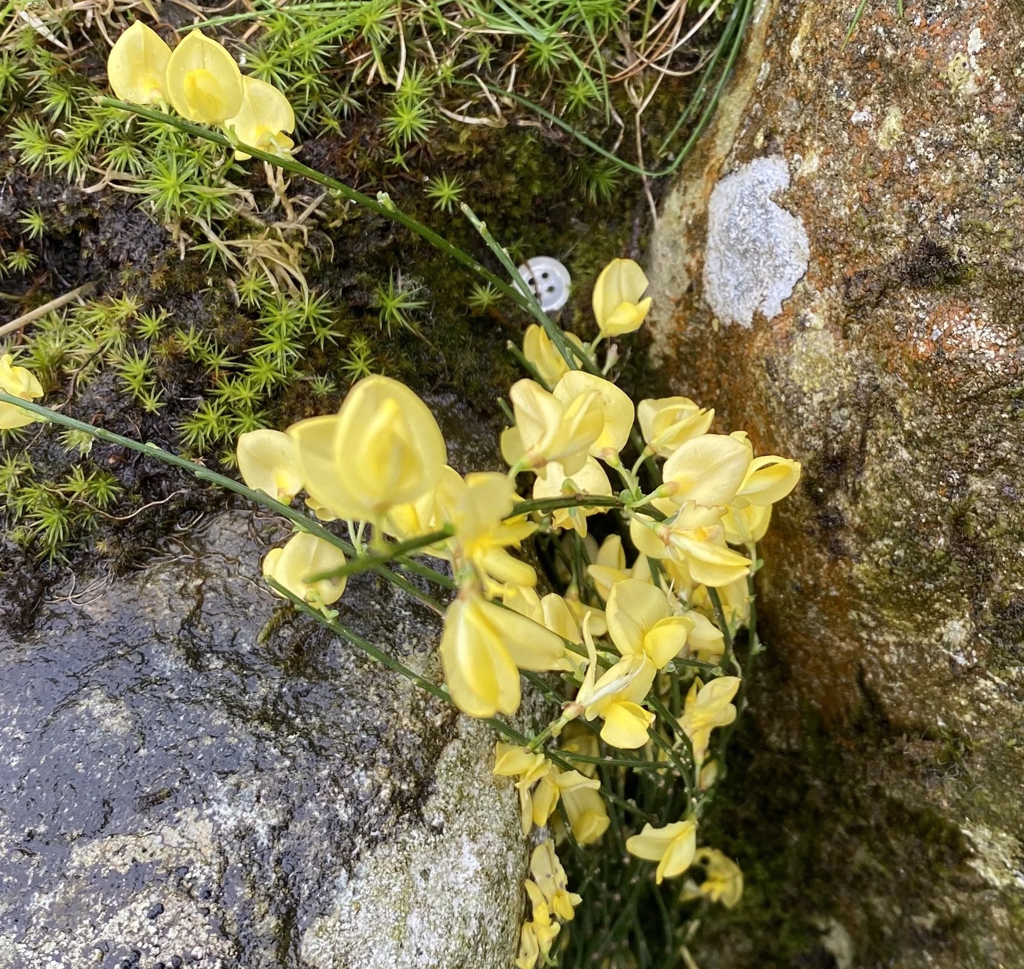 listening to children