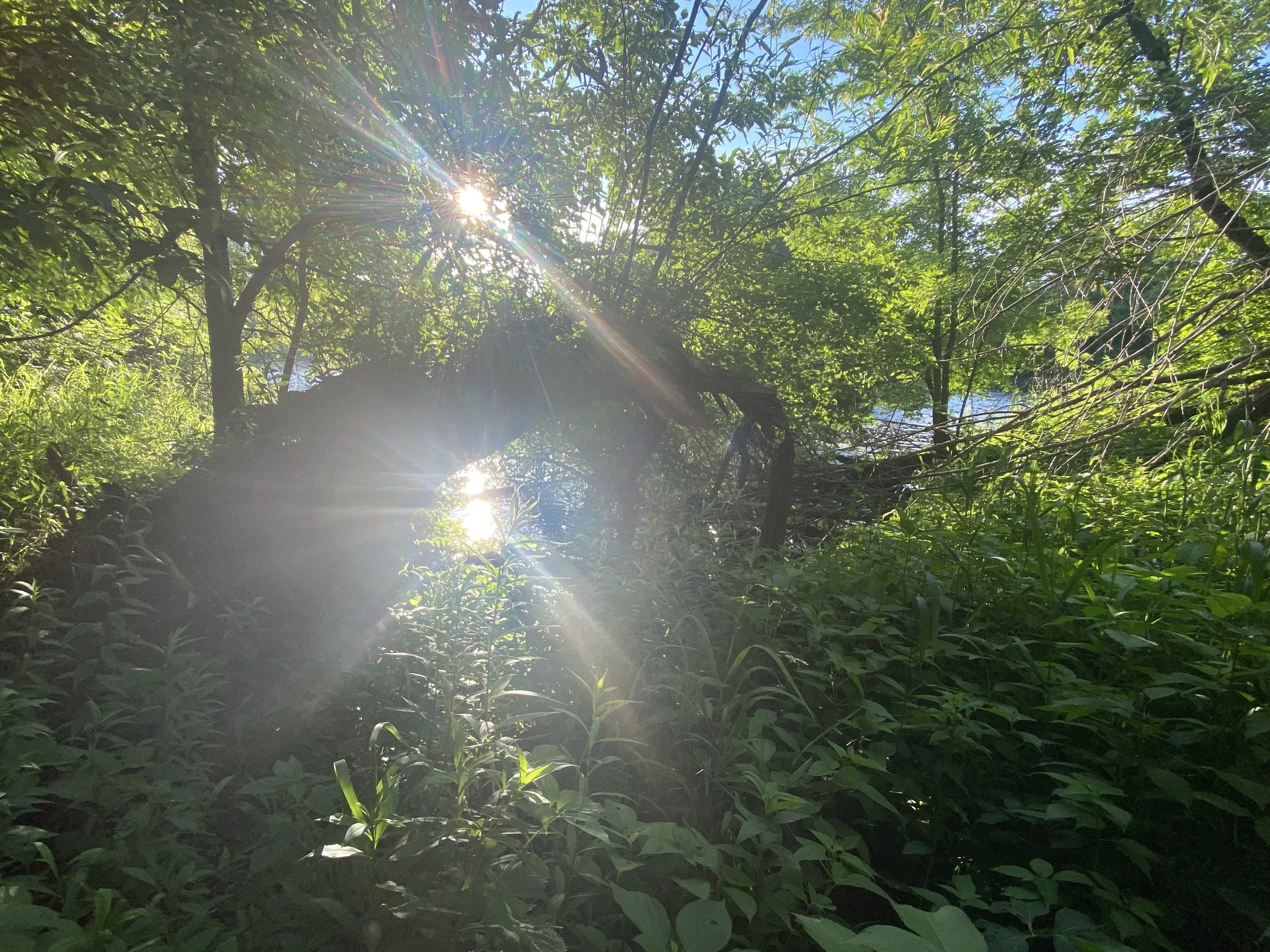 Walking is a bridge