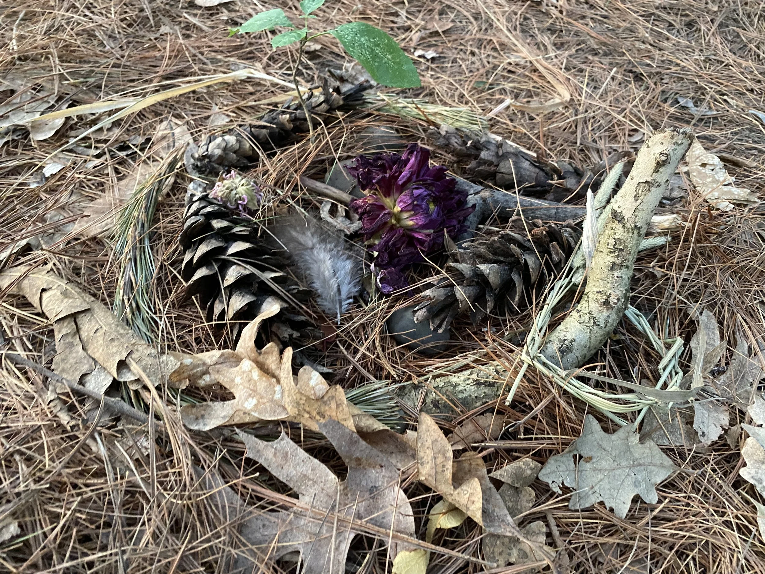 offering.