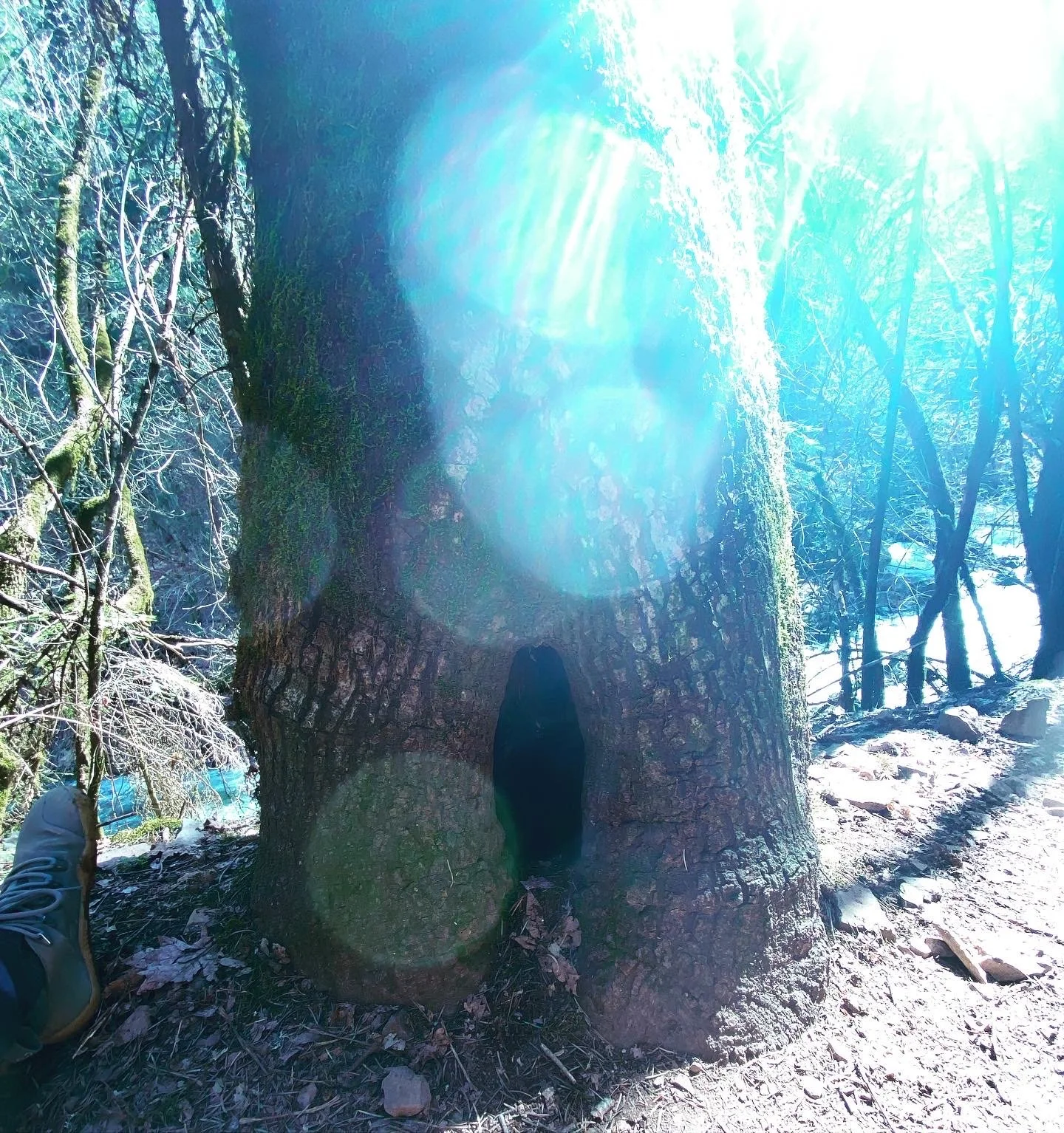 Listening to Children: Online Community of Practice