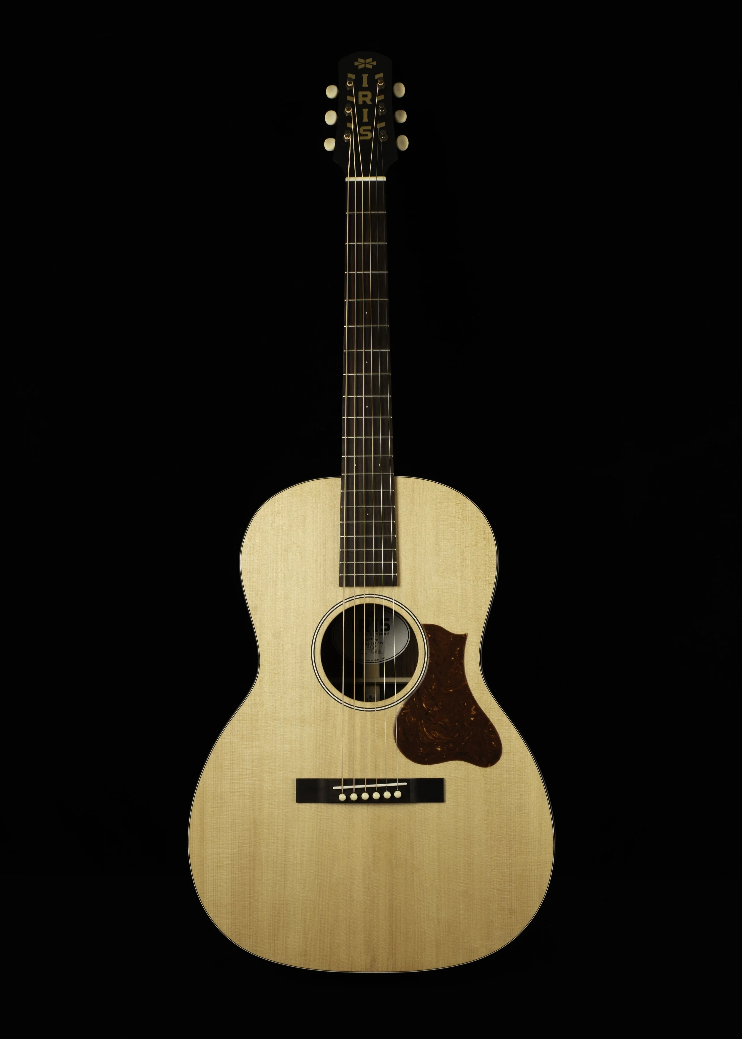 RCM1505_01.jpg