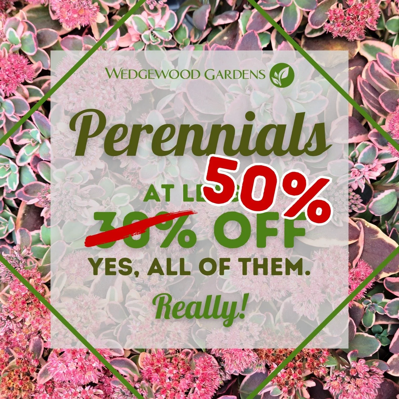50% off. 🤯
#wedgewood #wedgewoodgardens #familybusiness #smallbusiness #shopsmall #shoplocal #locallygrown #supportsmallbusiness #thewedge #supportlocalbusiness #gardencenter #delawarecounty #delco #glenmills #greenhouse #greenhouselife #greenhouse