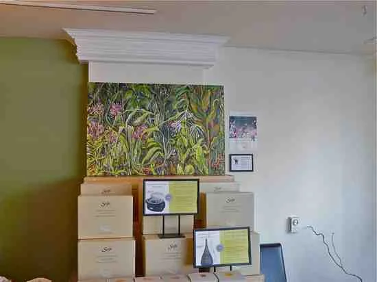 Saje Natural Wellness Store