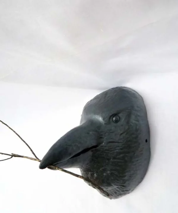 Crow Mask with Twigs