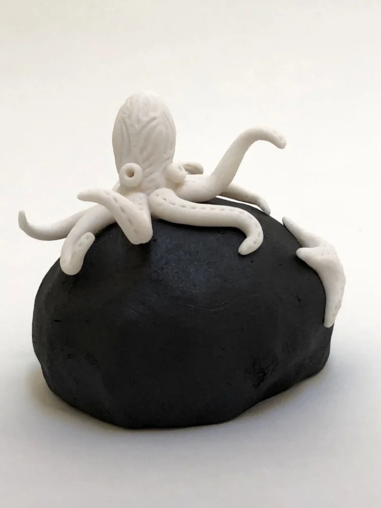 Rock Stars: Octopus and Star Fish