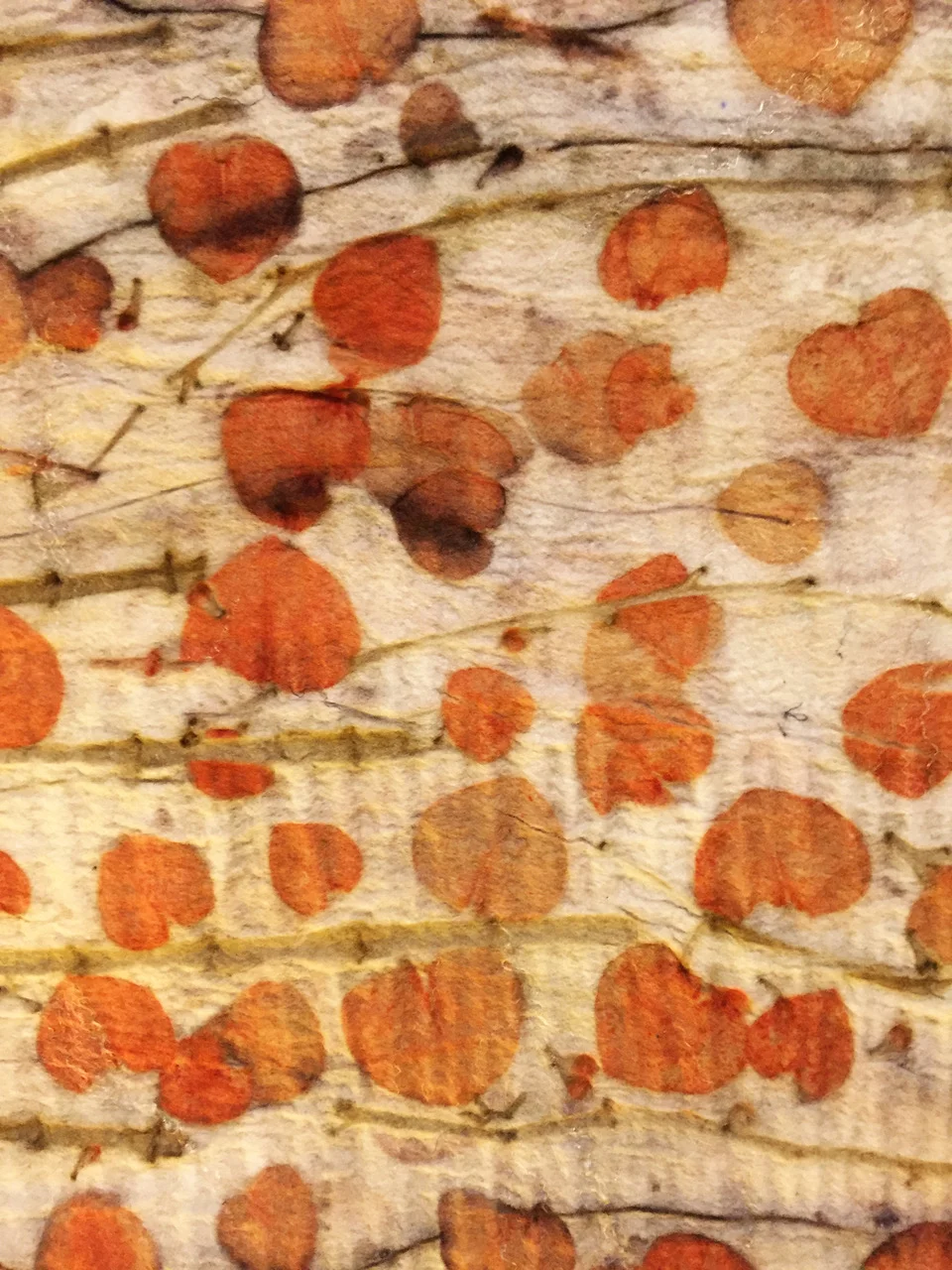 eucalyptus leaves and twigs placed wabi sabi … carefully