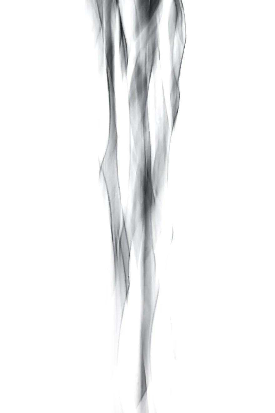 dstewart_frailty_11_x14__photo on lustre paper.jpg