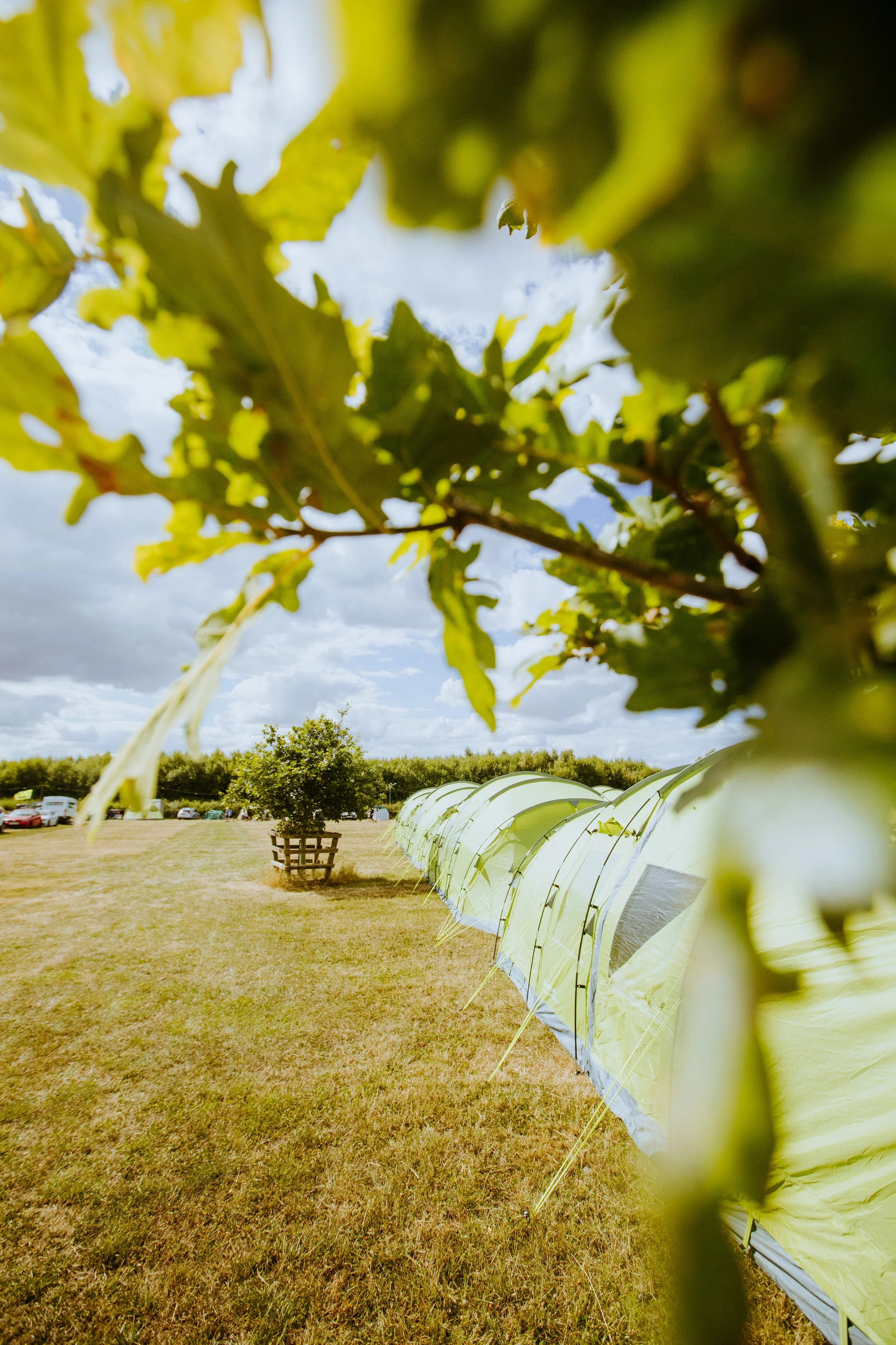 [KoLAB Studios - Alastair Brookes]_[Silvetstone Woodlands - MotoGP - Day 01]_[2022]_15.jpg
