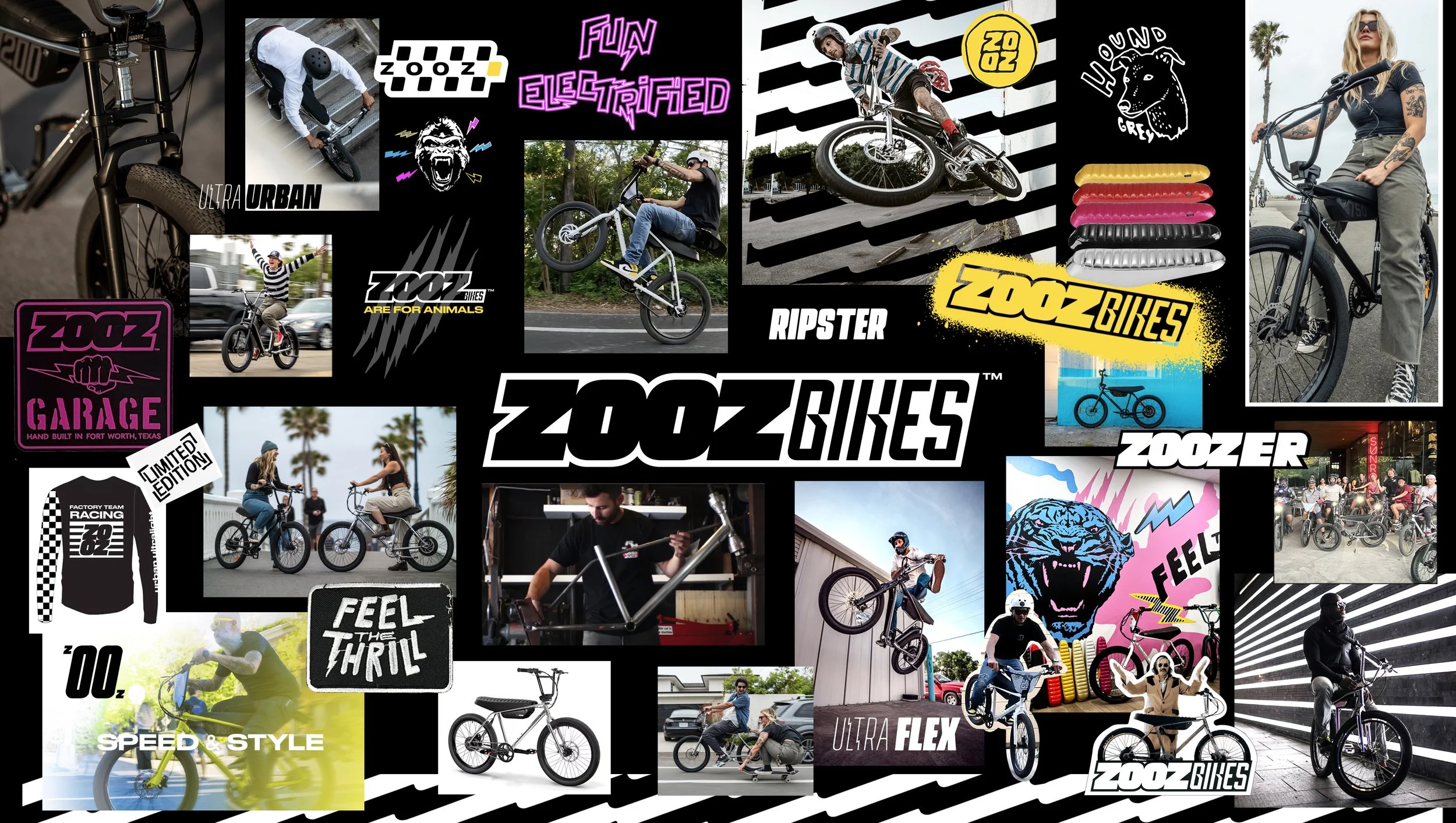 ZOOZ COLLAGE .jpg