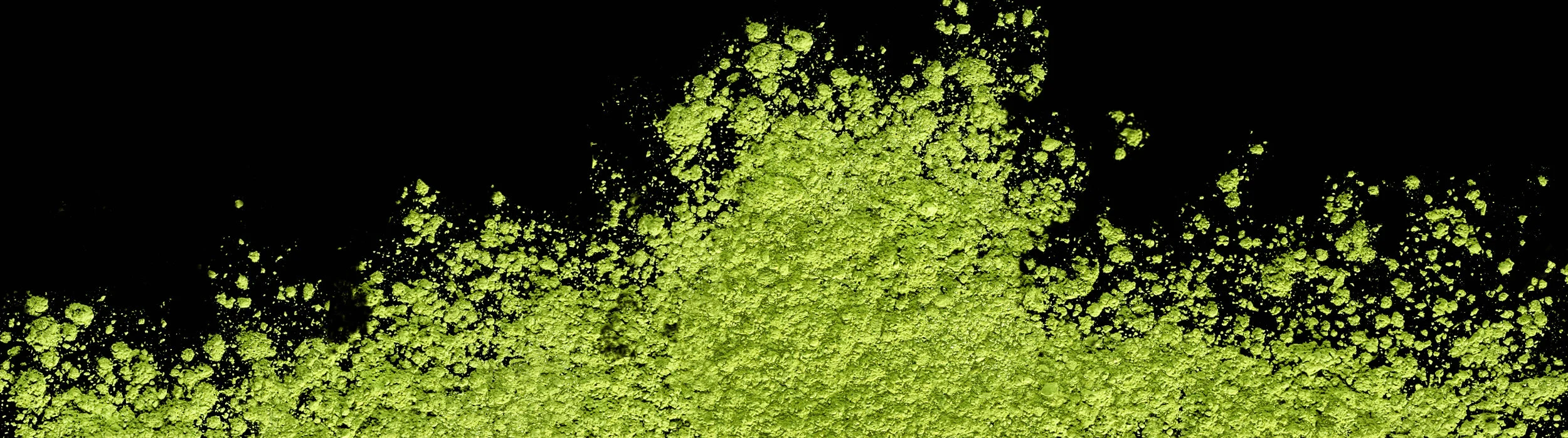 PLMATCHA_Toast_banner2_brite.jpg
