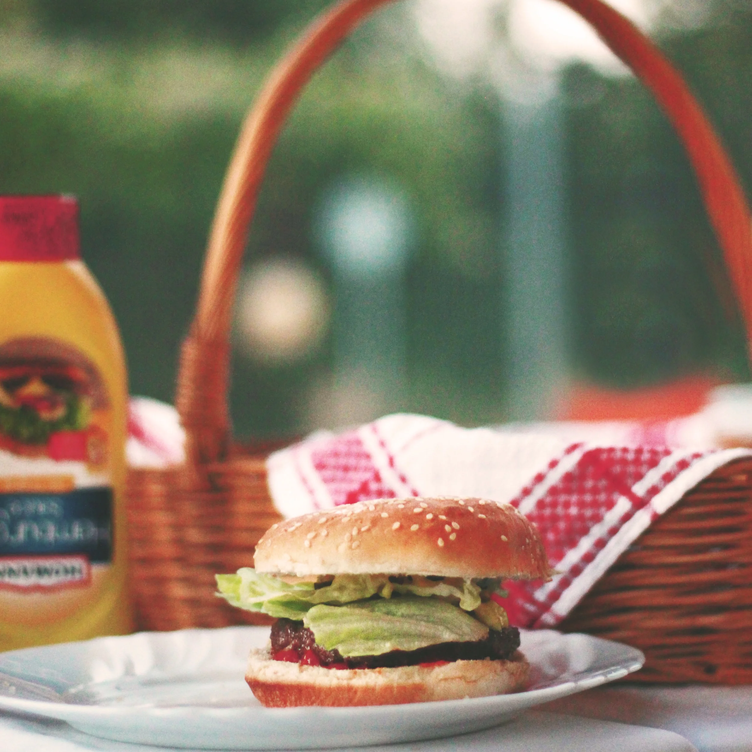 2019 Annual Volunteer Picnic