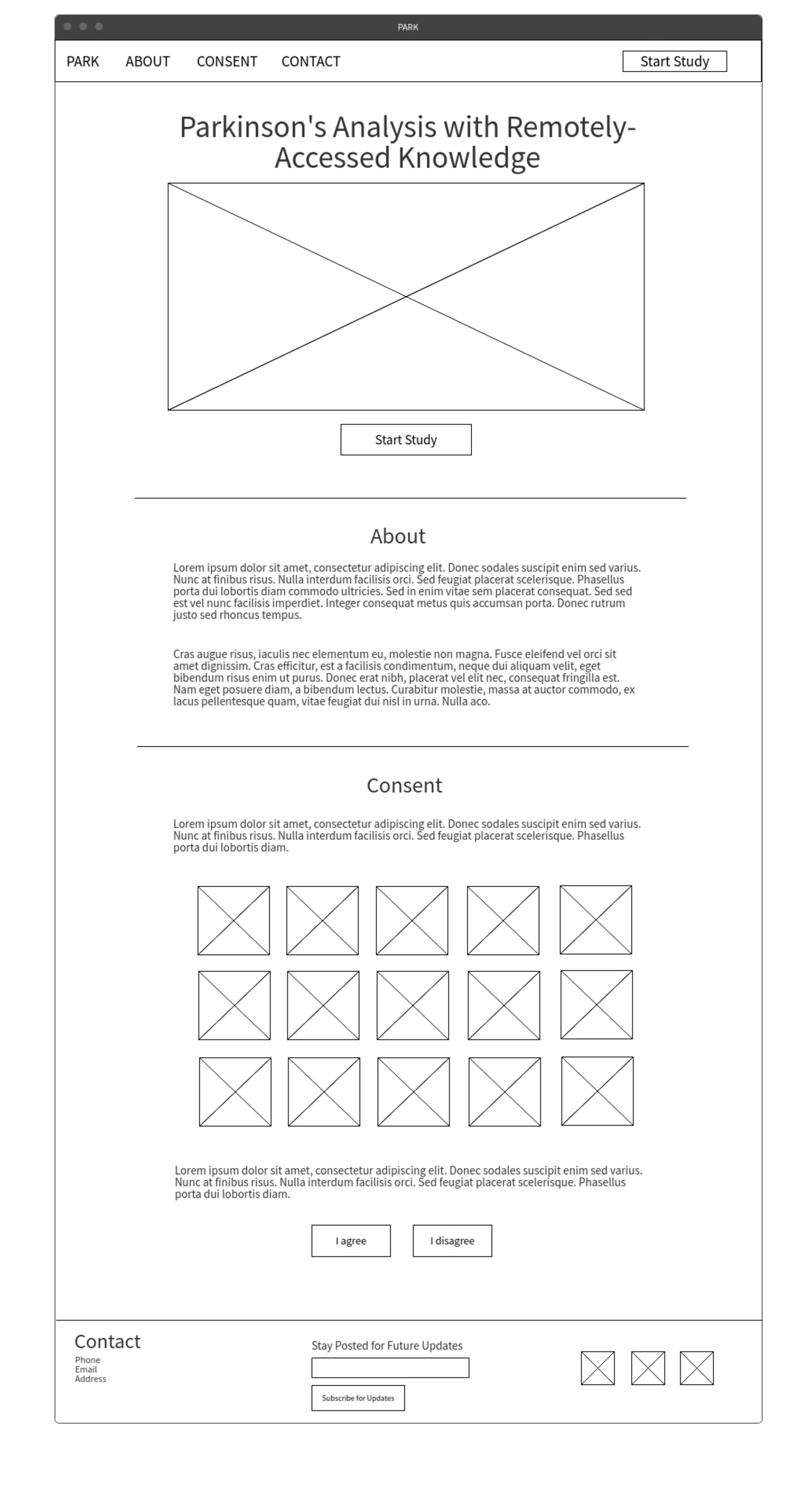 Wireframe