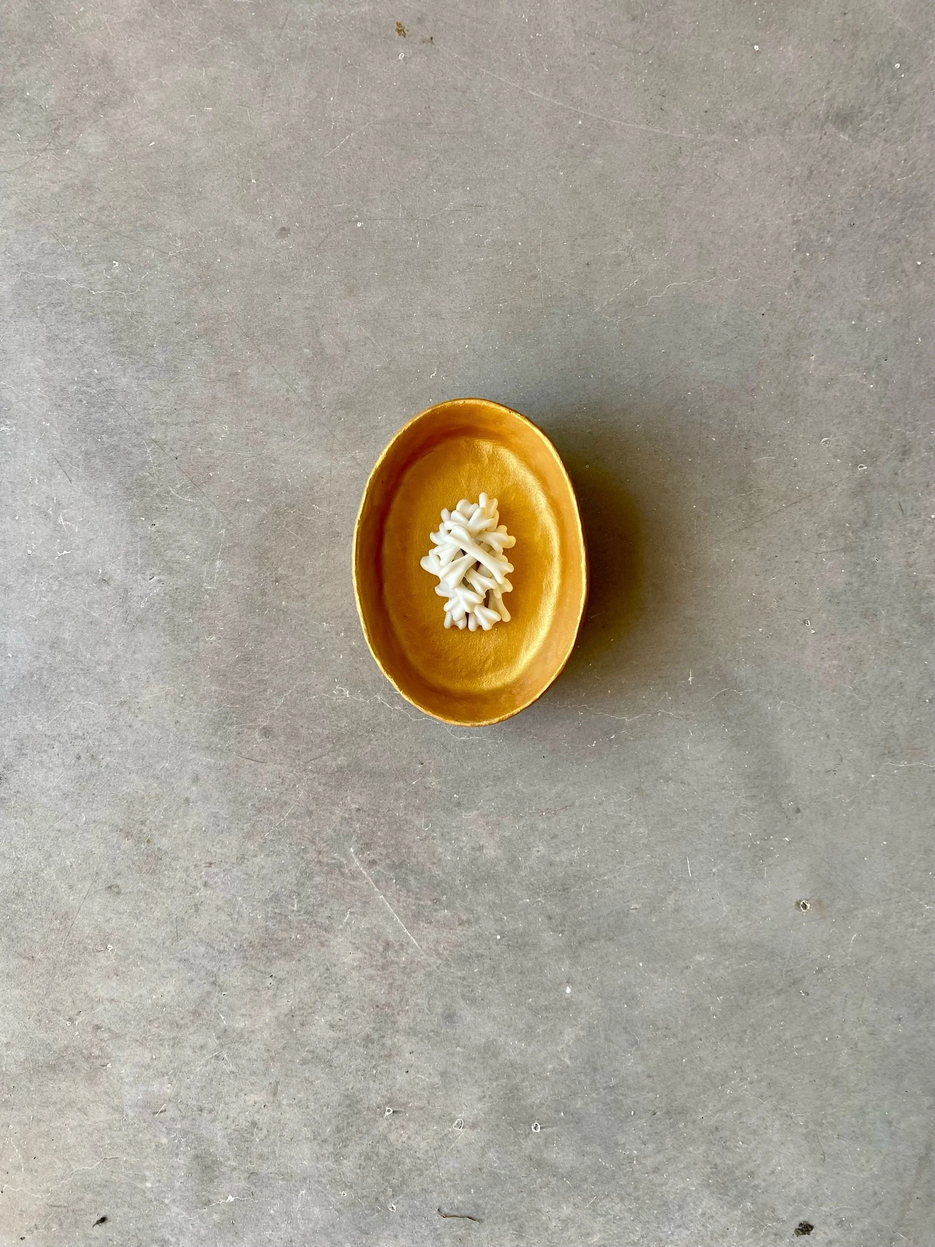 36091399-414E-4132-AE33-0302D9315A99.jpeg