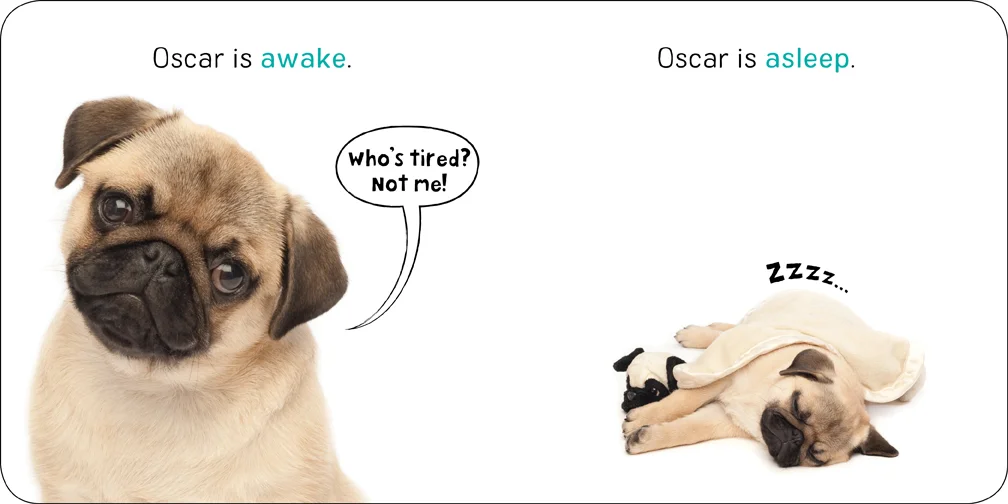 PuppyTalk_sprd2.72dpi.jpg