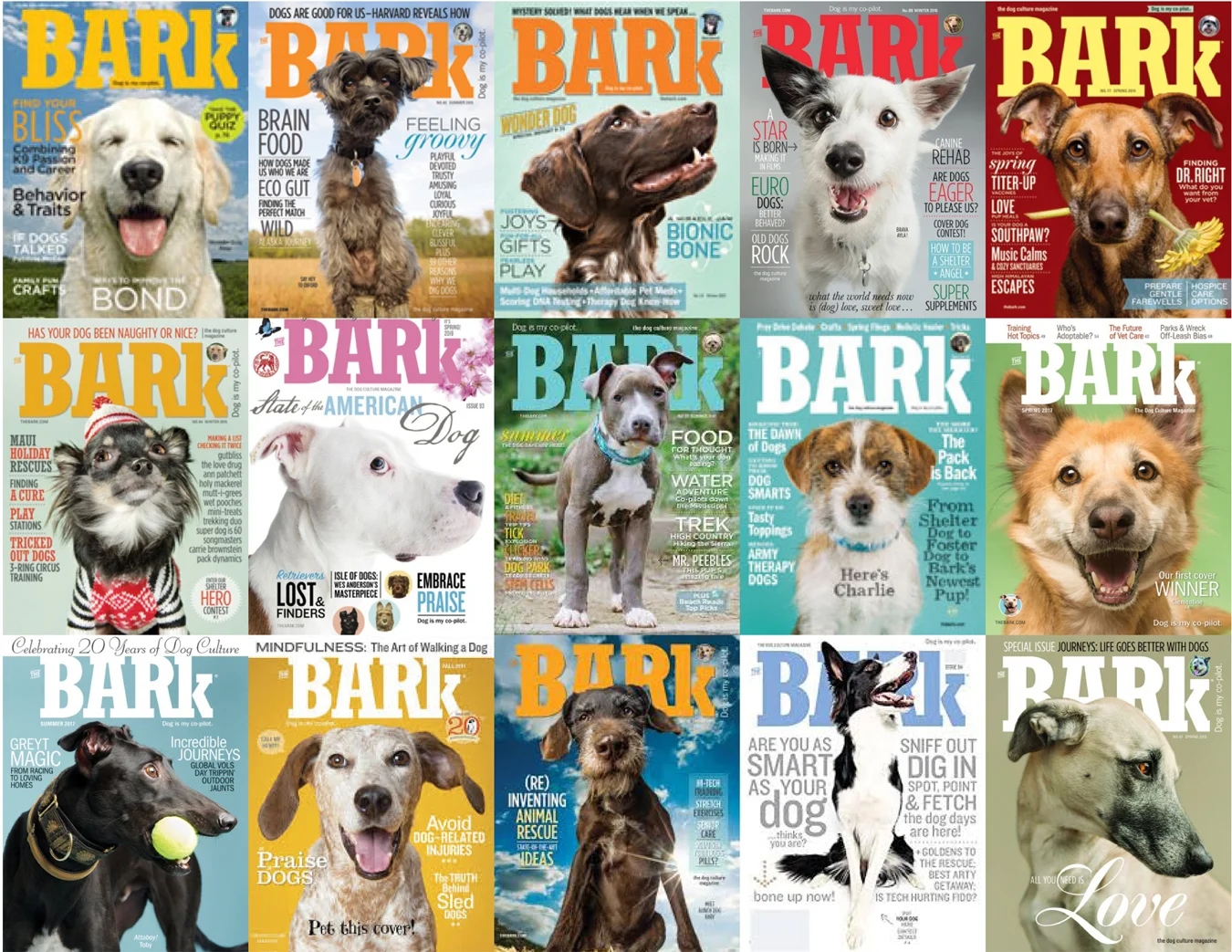 Go to TheBark.com to see what’s happening.