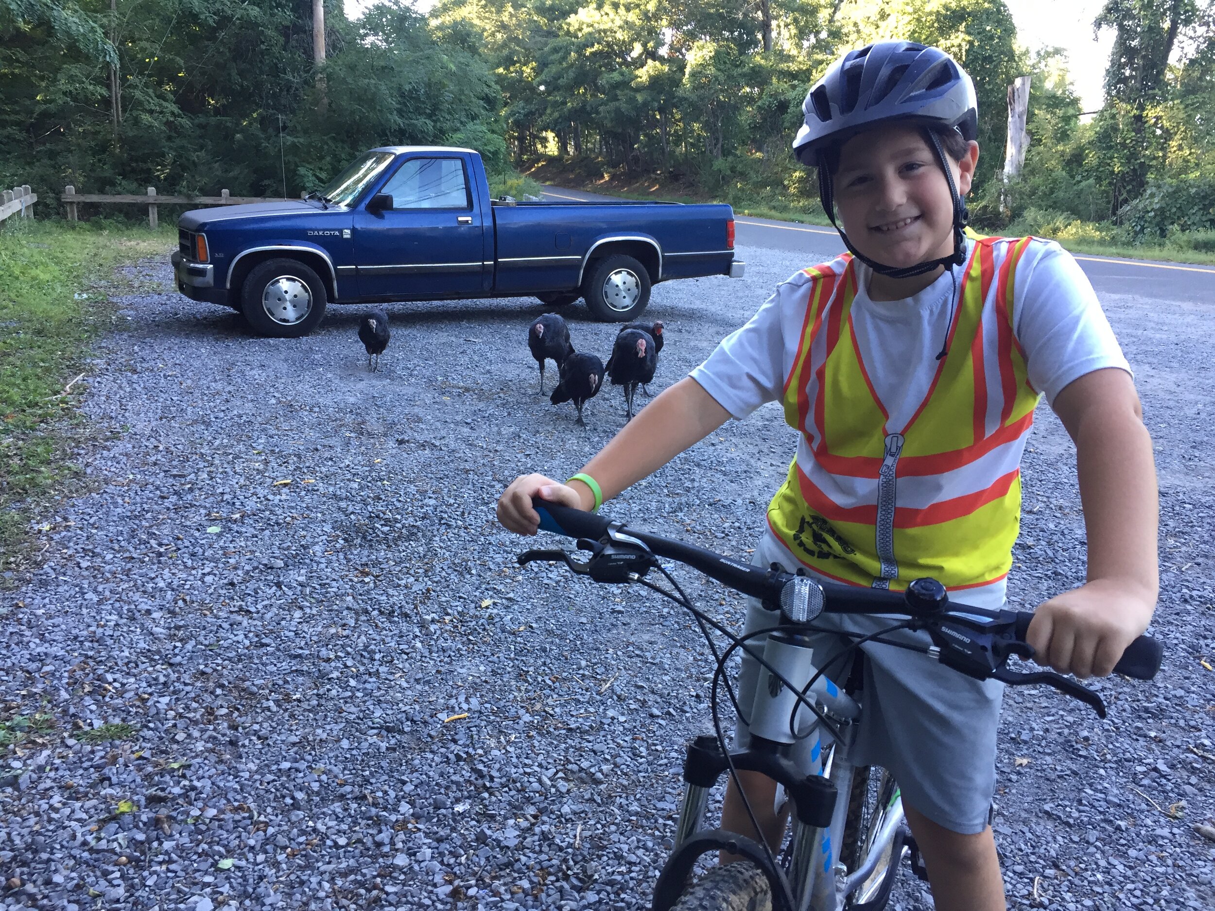 1990 Dodge Dakota Pickup