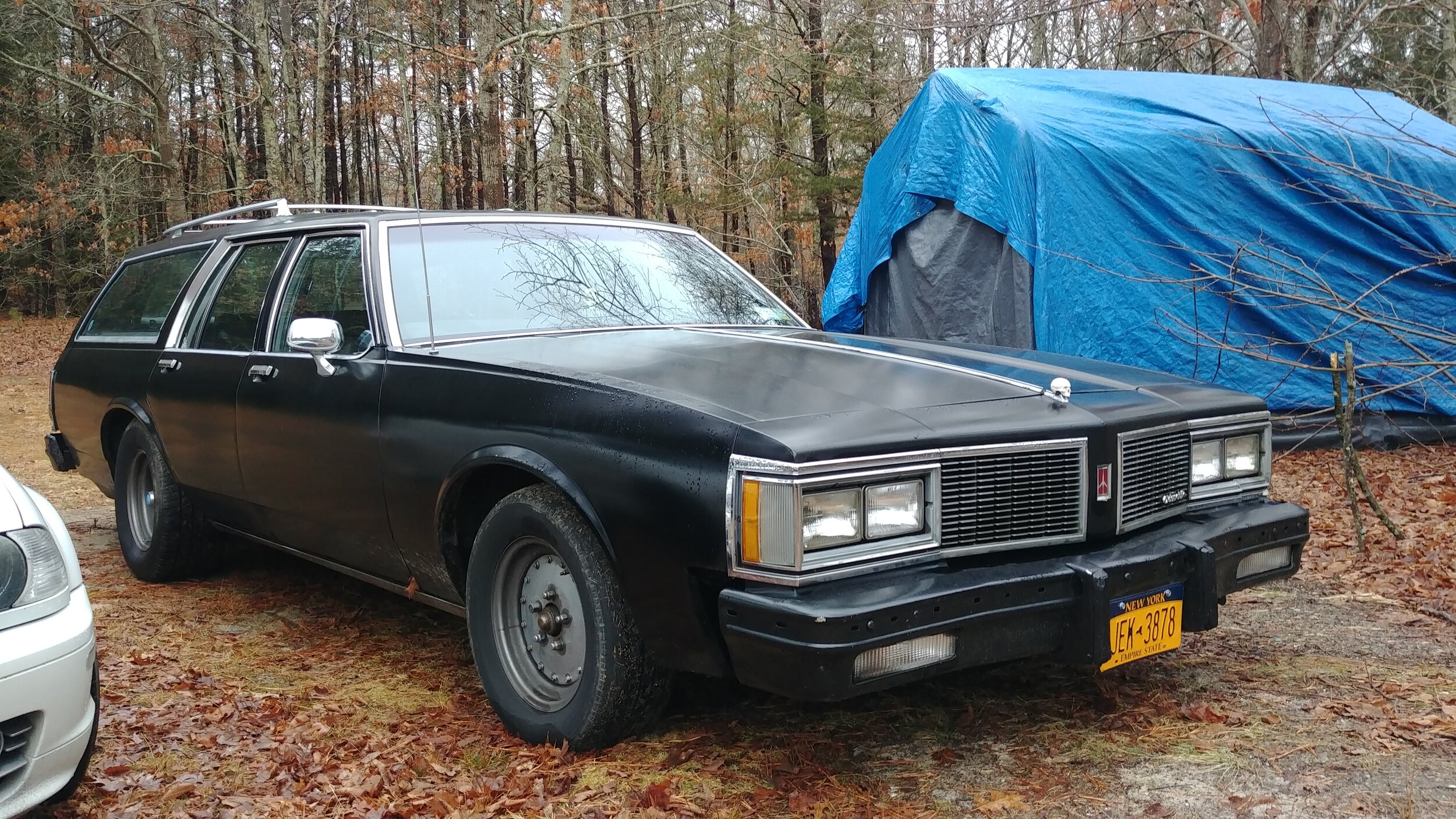 1984 Oldsmobile Custom Cruiser wagon