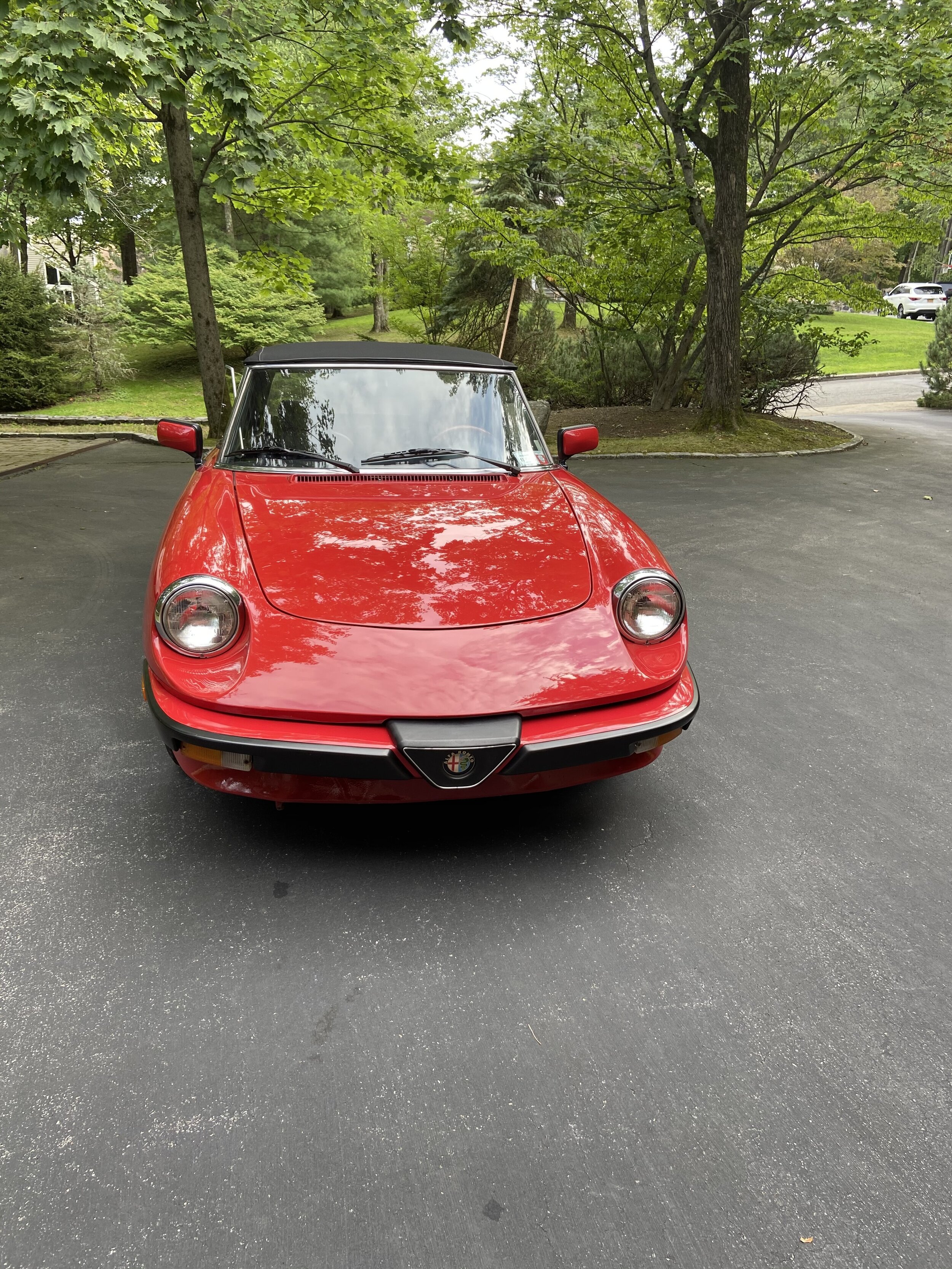 1987 Alfa Romeo Spider